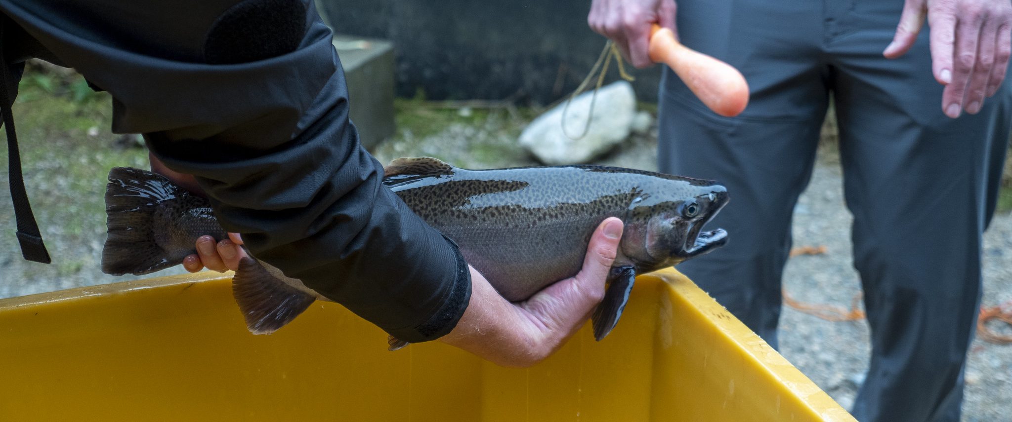 Learn to Fish - a British Columbia Program that Teaches You How to